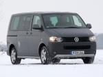 Volkswagen Multivan PanAmericana 2009 года